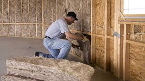 Best Wall Insulation Installation in Sunbury, PA